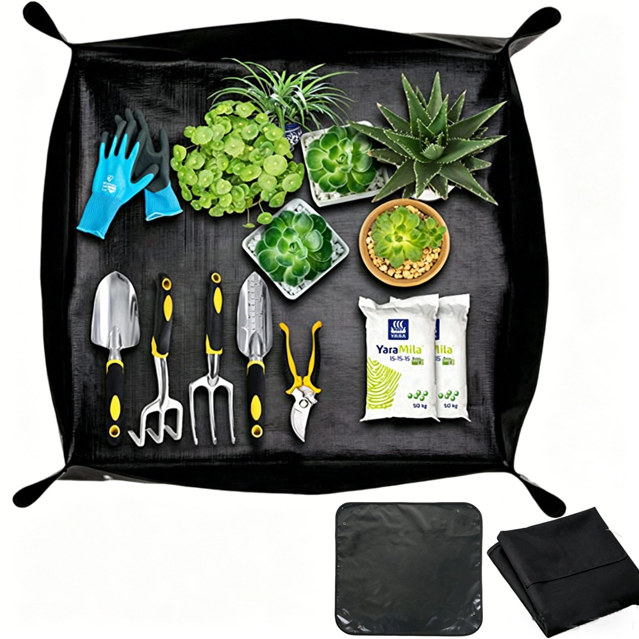 植物標本ワンタッチシート Recommended for summer vacation independent research projects